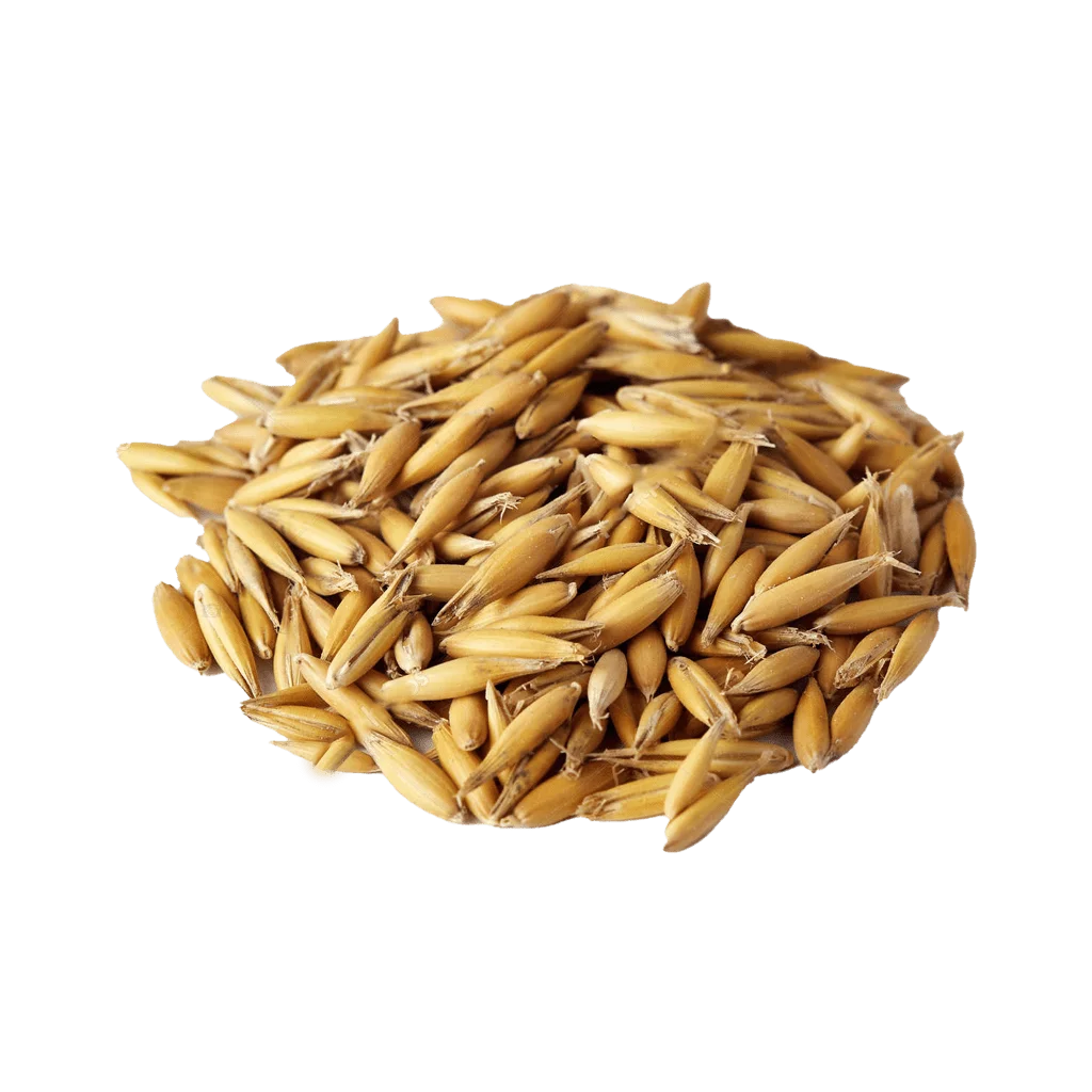 AVENA x30 KG