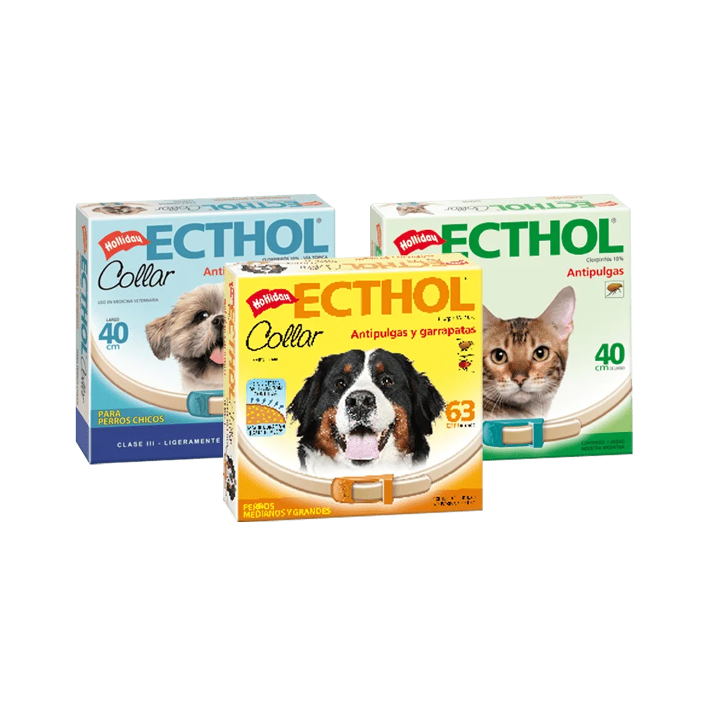 COLLAR ECTHOL Gato