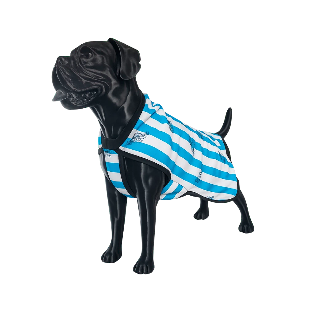 POLERA ARGENTINA TALLE 4 – 6